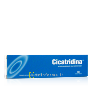 Cicatridina